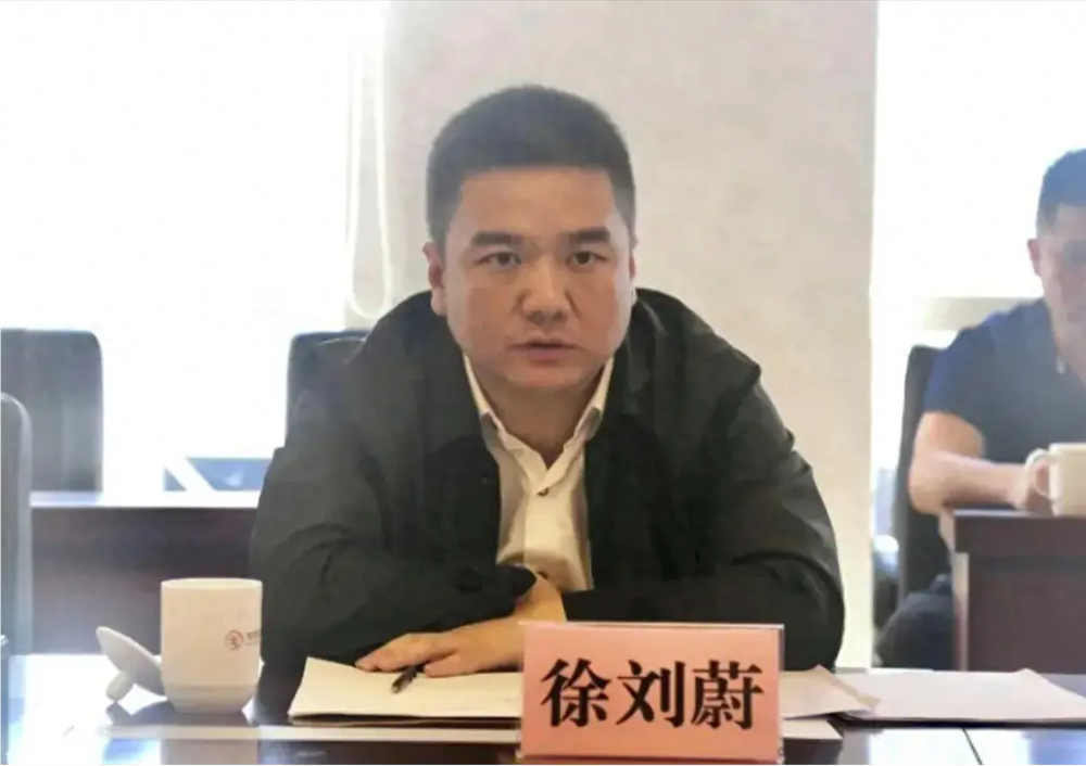 <strong>网传曾要求王健林把利润全部留下的徐刘蔚官宣被查</strong>