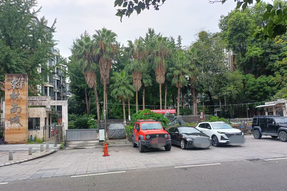 <strong>成都一小区街道组织遴选应急物业，业主质疑资格审查不严过程模糊</strong>