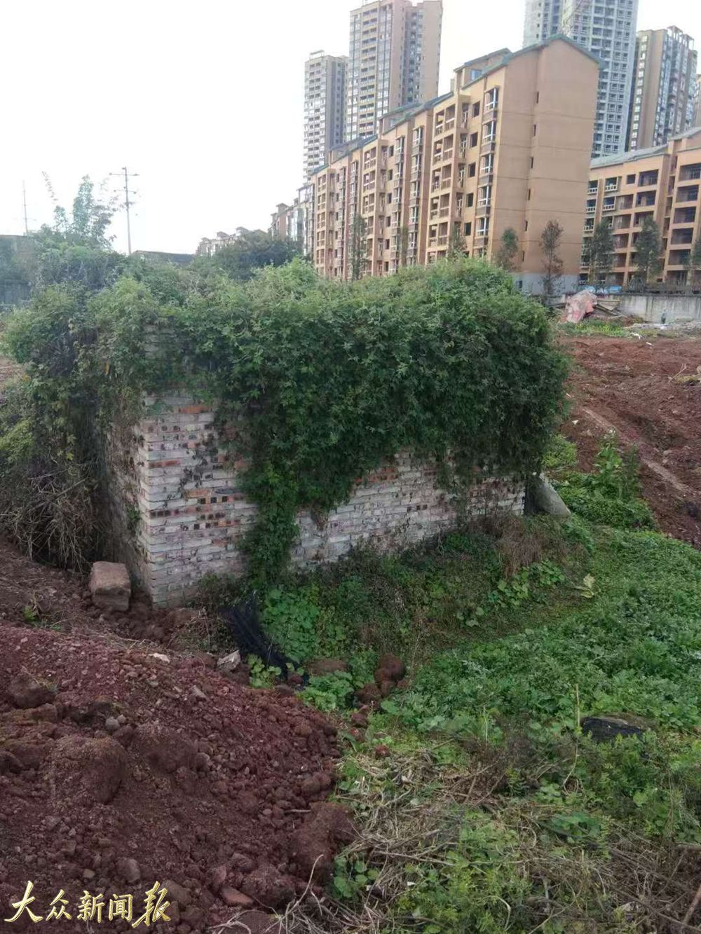 图片9.jpg